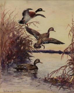 Appraisal: CLARK Roland Watercolor on Paper Ducks in a Marsh Signed