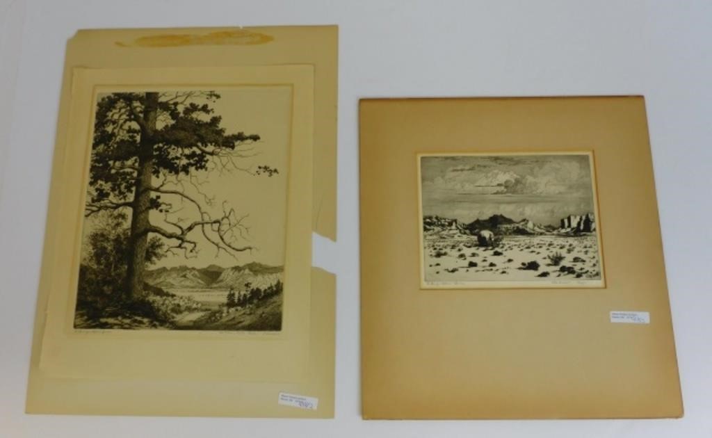 Appraisal: GEORGE ELBERT BURR - CO AZ LOT OF TWOetchings One