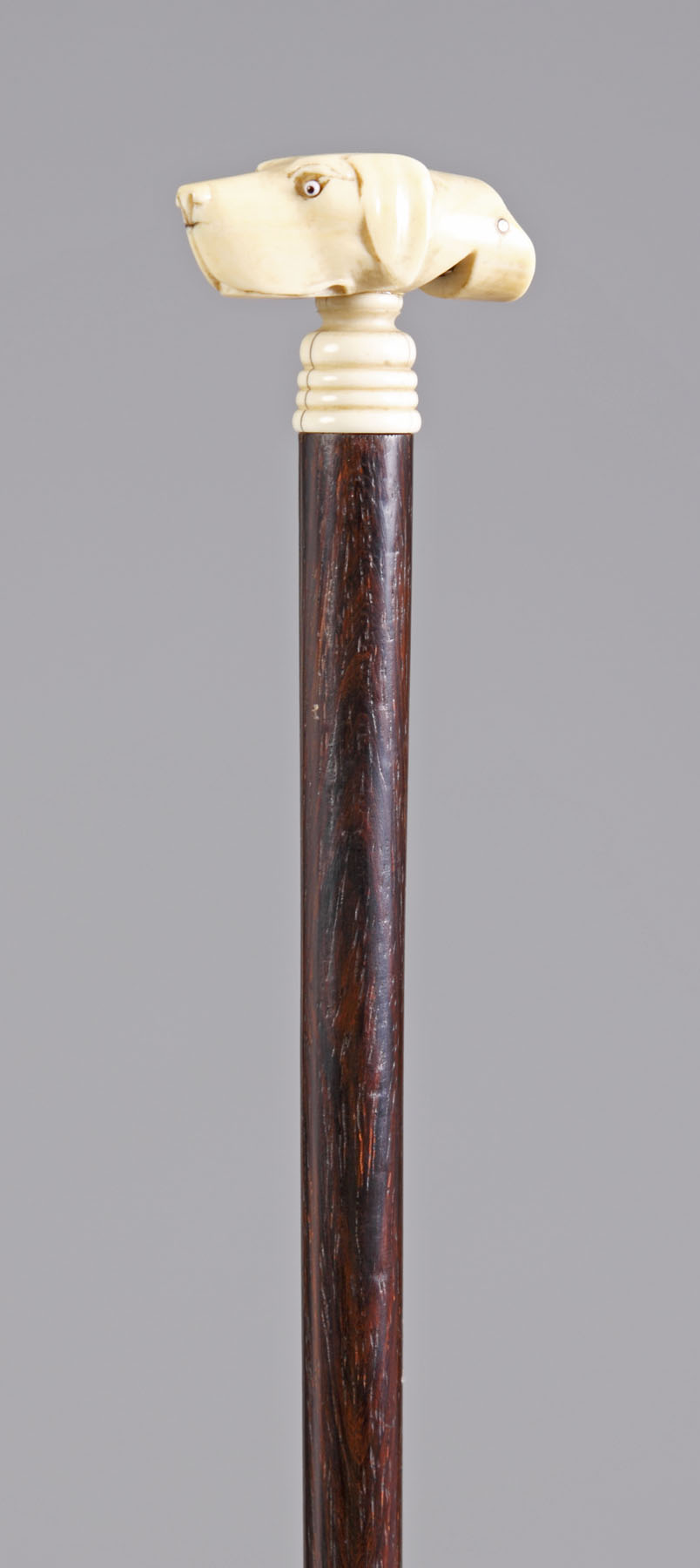 Appraisal: Carved Ivory Dog Head Whistle Walking Stick Rosewood shaft Original