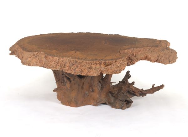 Appraisal: RAW EDGE ROOT WOOD COFFEE TABLE H x x Natural