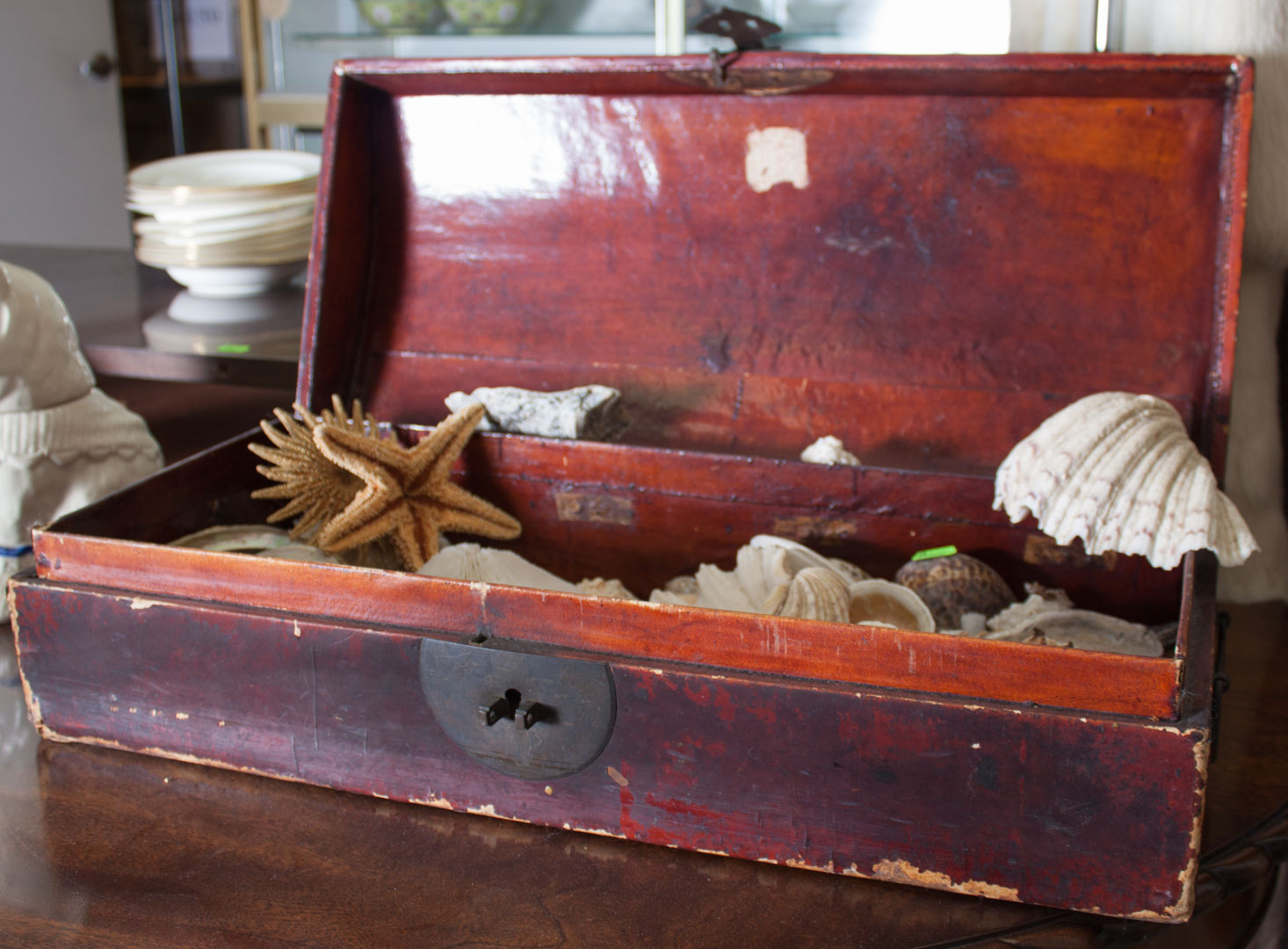 Appraisal: Assorted seashells in an oriental box