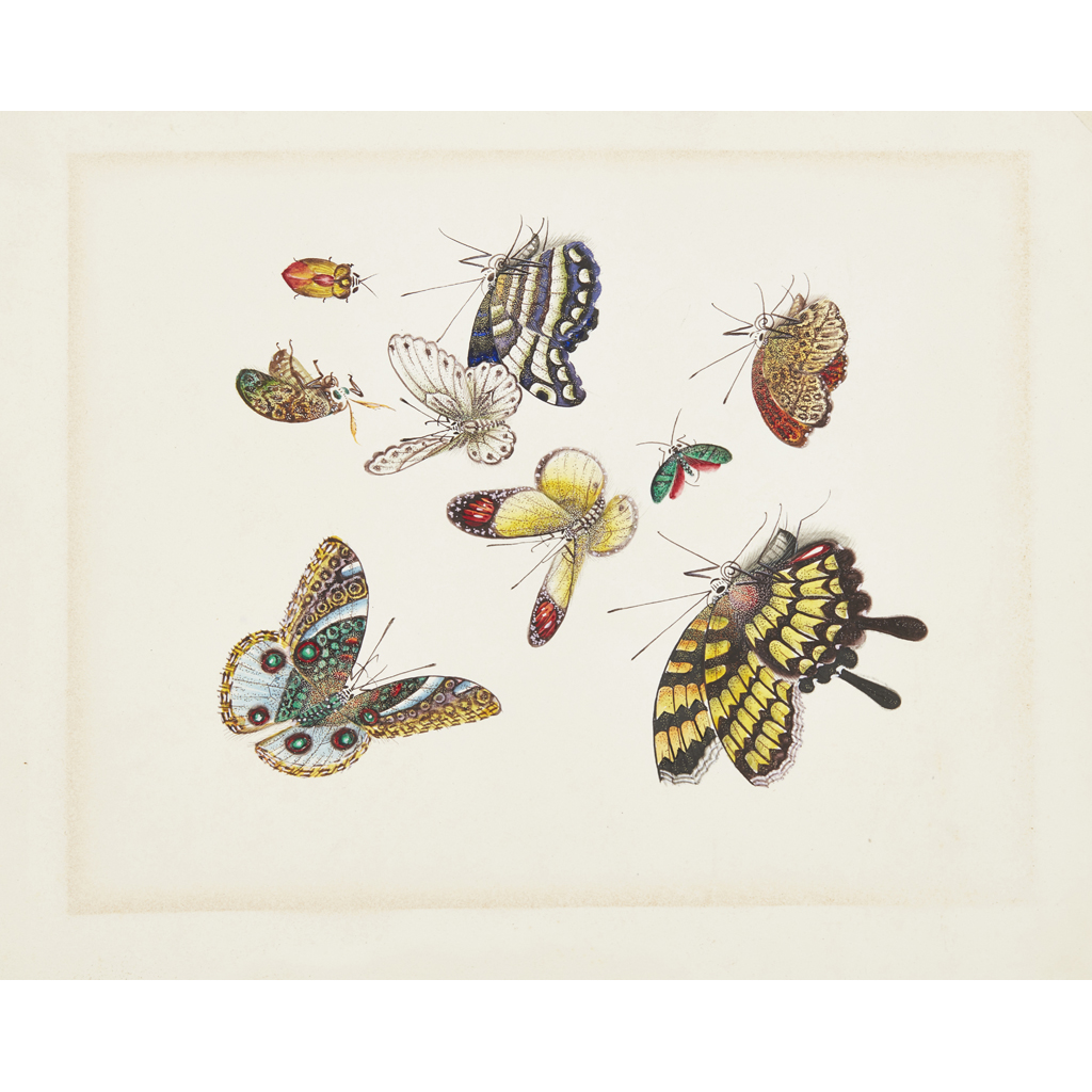 Appraisal: SET OF TWENTY-EIGHT EXPORT PAINTINGS OF BUTTERFLIES FRUITS AND PLANTS