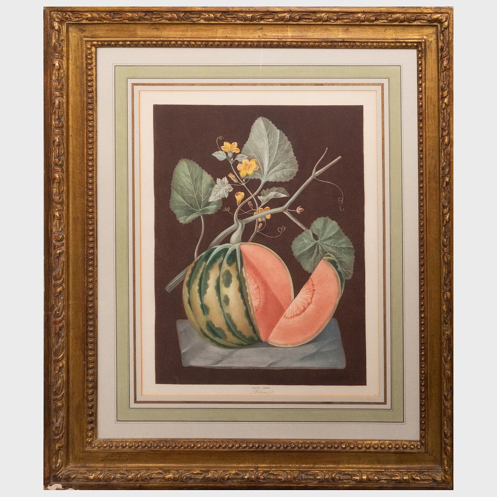 Appraisal: George Brookshaw - Silver Rock Melon White Seed'd Rock Polinac