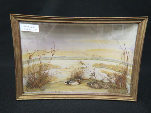 Appraisal: Miniature Diaroma of Mallards on a Lake handpainted scene with