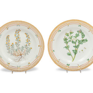 Appraisal: Two Royal Copenhagen Flora Danica Plates decorated with Henhammaria maritima