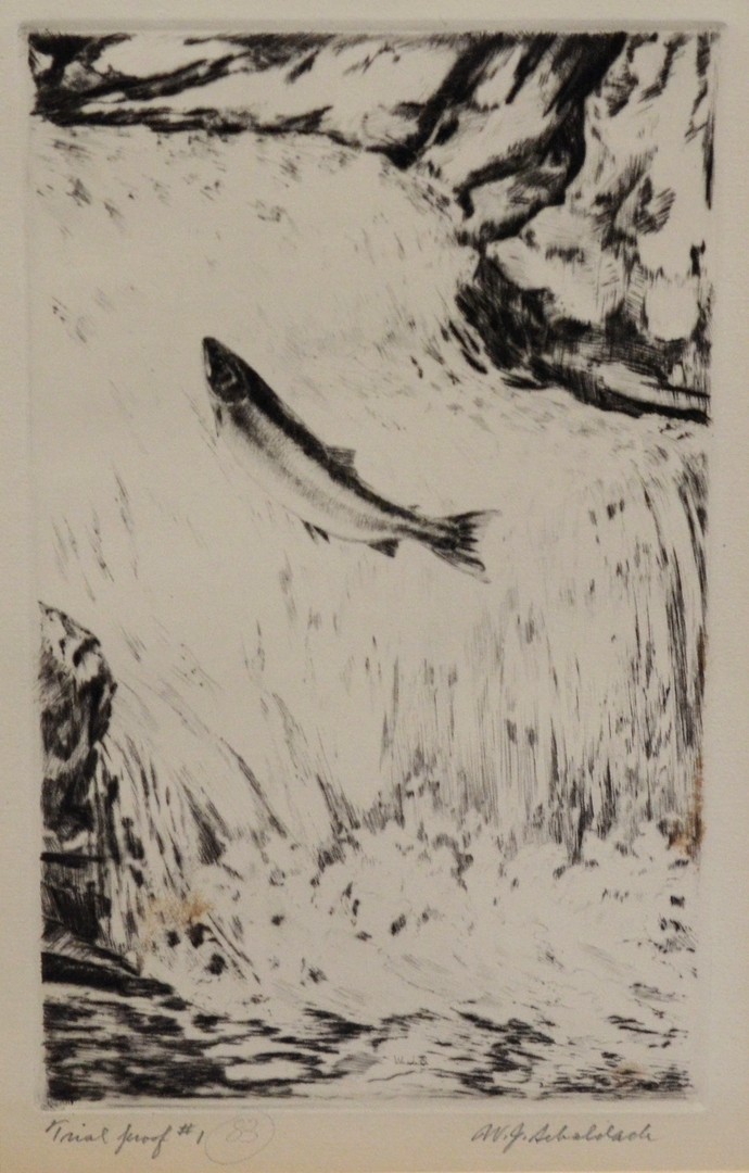 Appraisal: William J Schaldach American - drypoint etching Jumping Atlantic Salmon