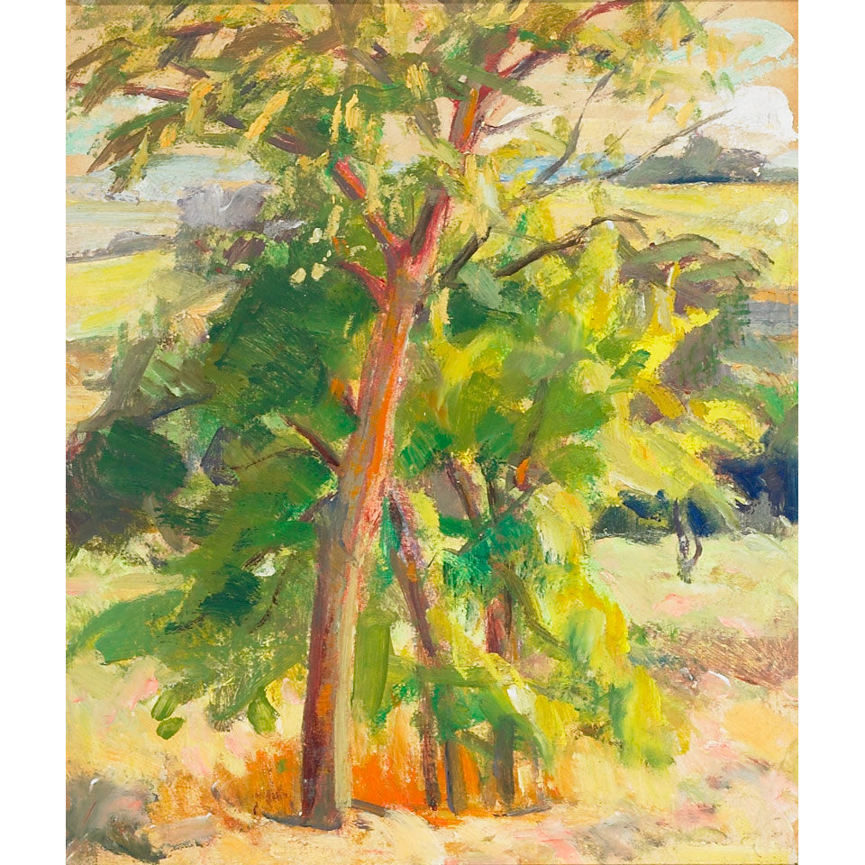 Appraisal: Achille Emile Othon Friesz - French SUNNY SUMMER LANDSCAPE Oil