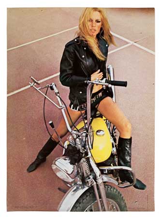 Appraisal: DESIGNER UNKNOWN BRIGITTE BARDOT HARLEY DAVIDSON x inches x cm