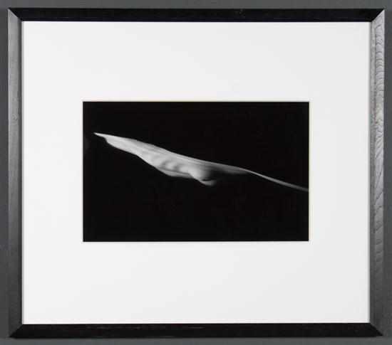 Appraisal: Connie Imboden American b Peapod silver gelatin print x in