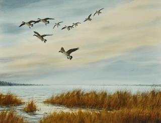 Appraisal: Gary E Neel th Century Canada Geese Gary E Neel