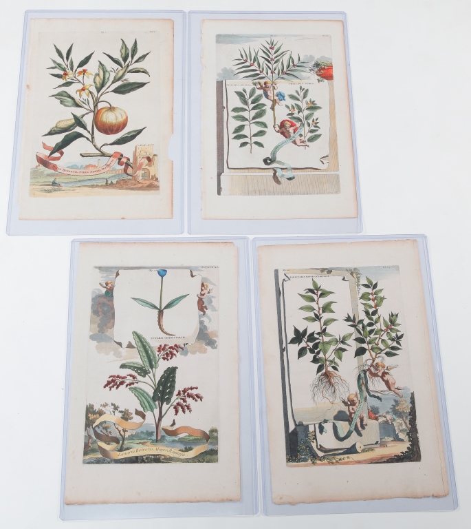 Appraisal: FOUR ABRAHAM MUNTING BOTANICAL PRINTS Netherlands - Hand colored engravings