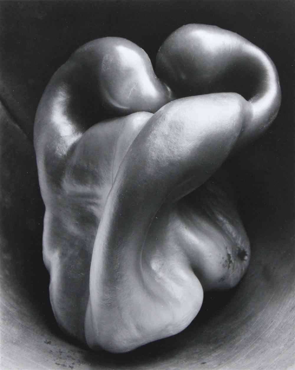 Appraisal: EDWARD WESTON AMERICAN - PEPPER NO Gelatin silver print x