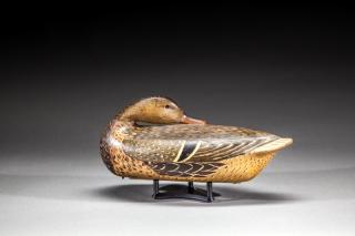 Appraisal: Preening Mallard Hen by Charles H Perdew Preening Mallard HenCharles