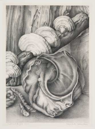 Appraisal: ELIZABETH SALTONSTALL Group of lithographs From the Sea Deep in