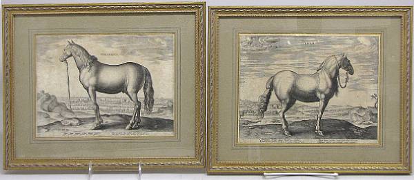 Appraisal: Comprising two equine prints titled Thessalus and Insuber framed x