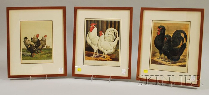 Appraisal: Three Framed Chromolithograph Rooster Book Plates including two Cassell Poultry