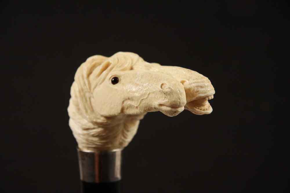 Appraisal: IVORY HEAD CANE - English Rosewood Walking Cane with Carved