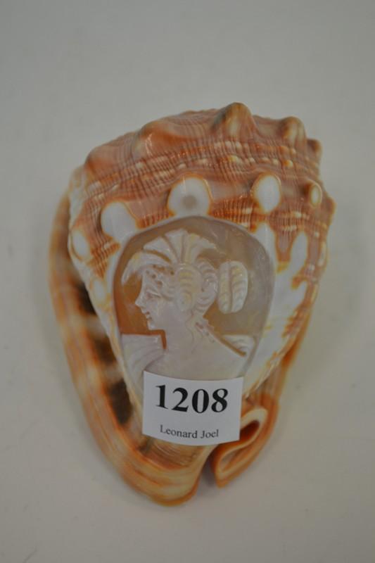 Appraisal: CONCH SHELL WITH CARVED CAMEO