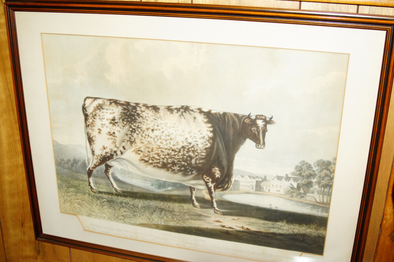 Appraisal: After J Bradley The Airedale Heifer hand coloured aquatint by