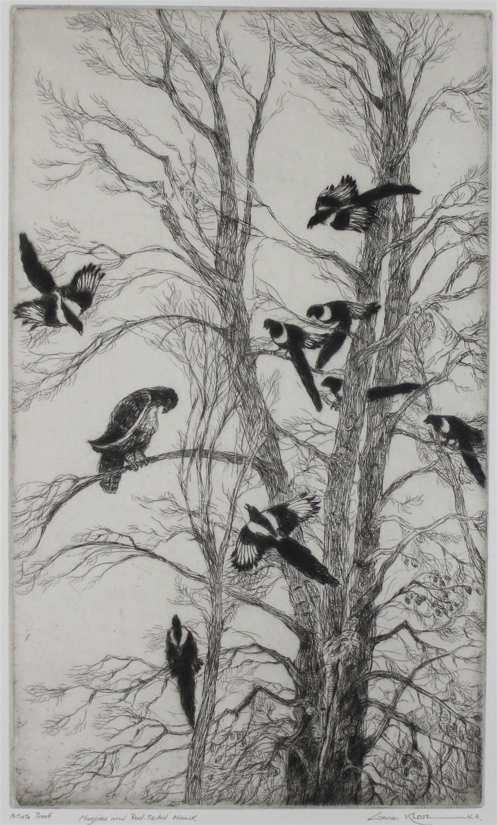 Appraisal: GENE KLOSS AMERICAN MAGPIES AND RED-TAILED HAWK Etching x x