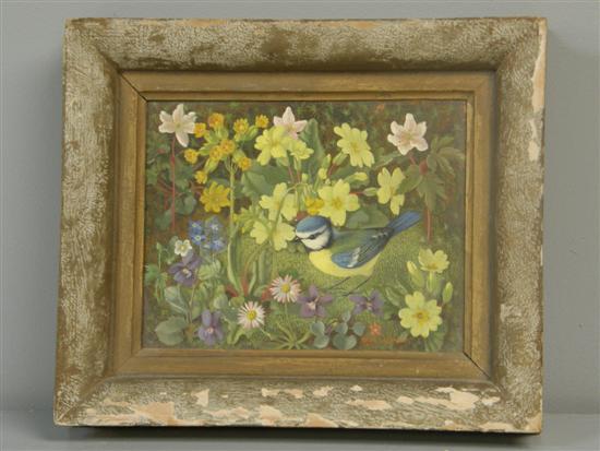 Appraisal: Heda Armour - 'Bluetit amongst Primulas' signed oil on board