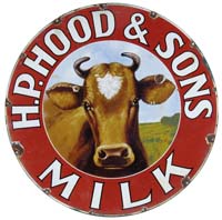 Appraisal: HOOD MILK PORCELAIN SIGN Head on perspective of a cow