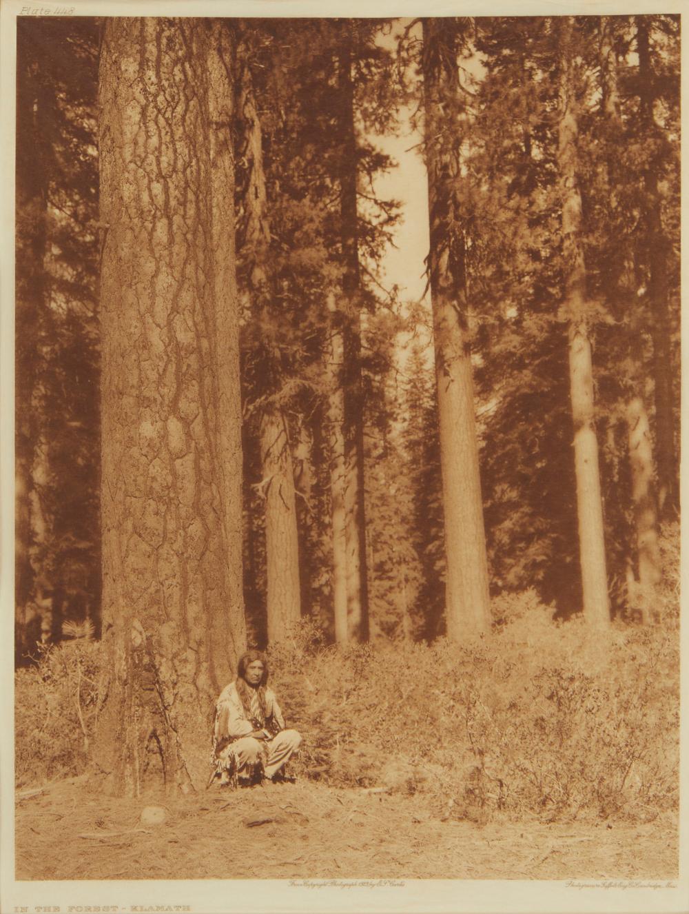 Appraisal: Edward S Curtis - Los Angeles CA In the forest