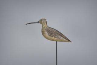 Appraisal: Curlew Harry V Shourds Curlew Harry V Shourds - Tuckerton