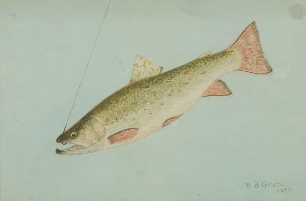 Appraisal: WILLIAM B GILLETTEAmerican - Brook trout Signed and dated lower