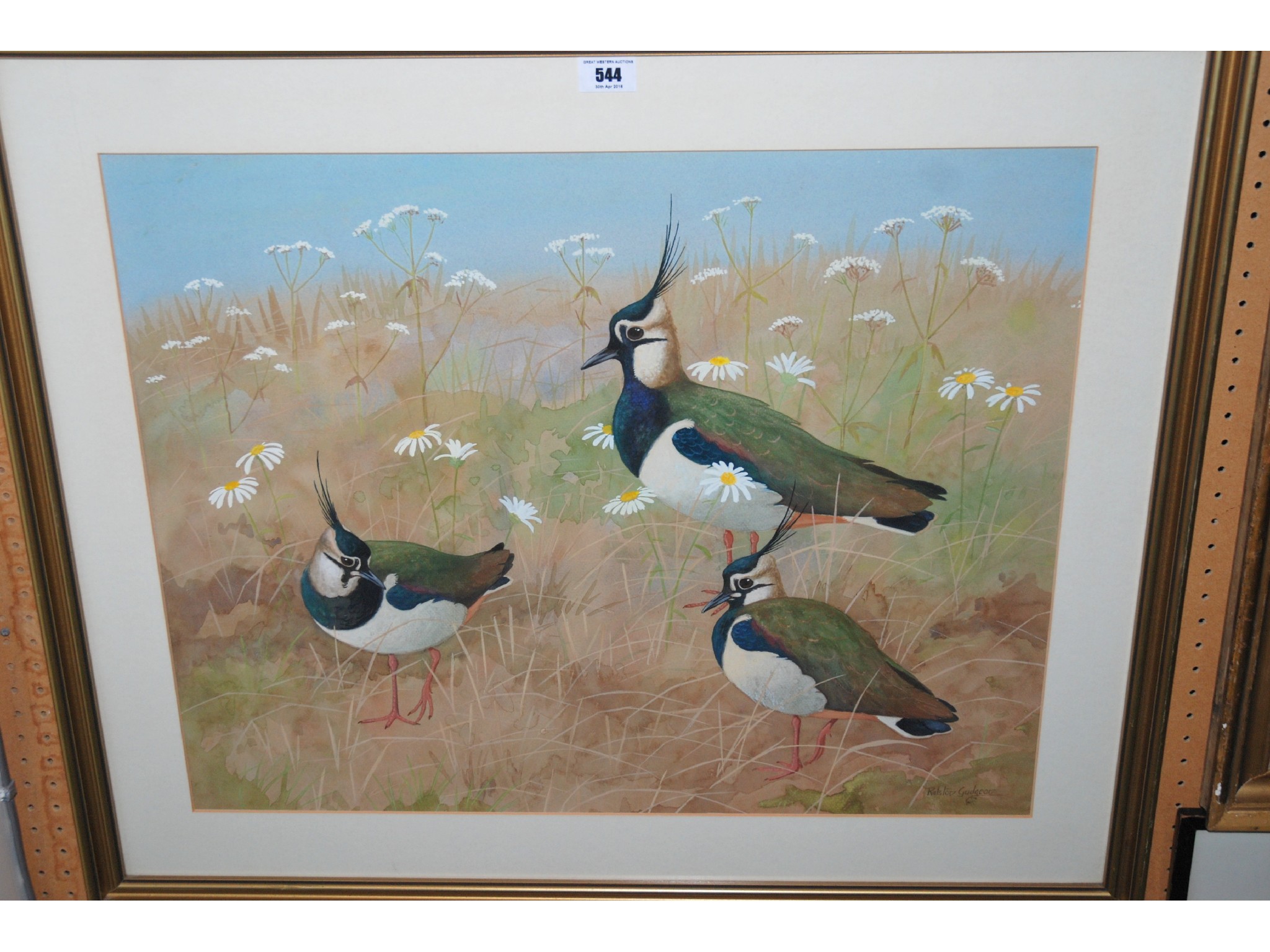 Appraisal: RALSTON GUDGEON Lapwings signed watercolour and gouache