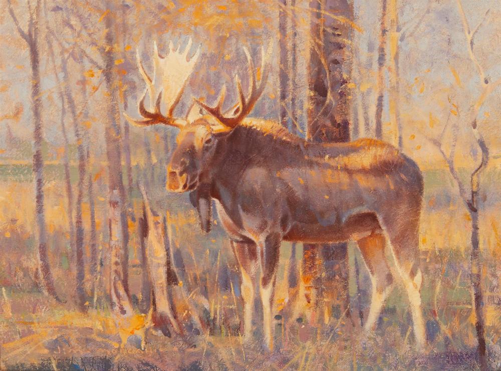 Appraisal: James Jim Morgan b Shiras Bull - Autumn Oil on