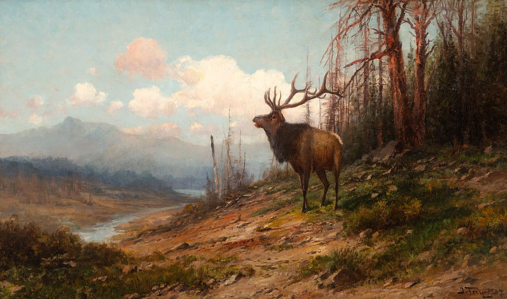 Appraisal: John Fery - Elk John Fery - Elk oil on