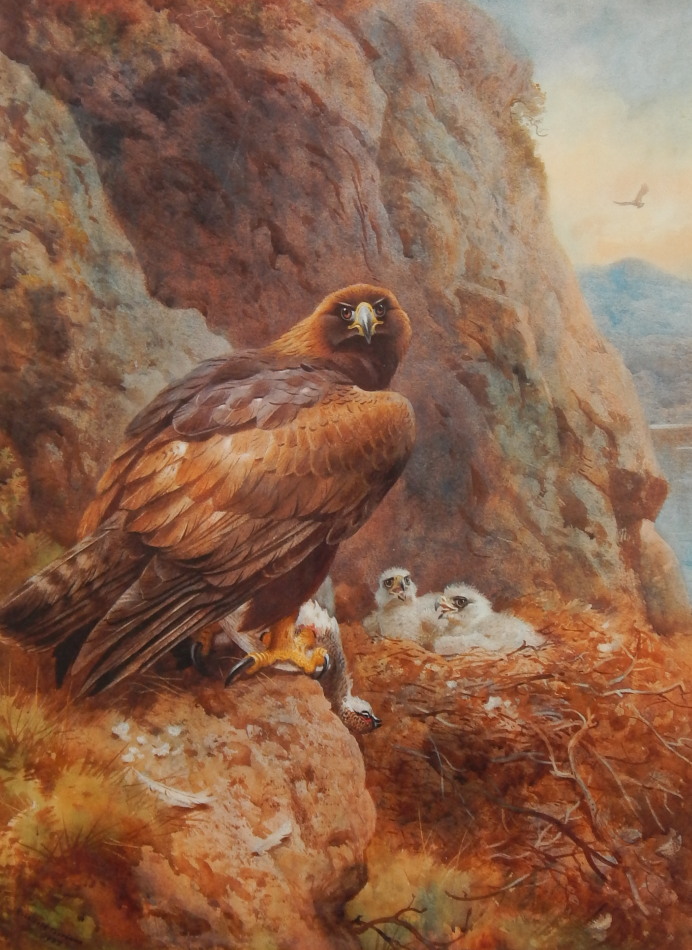 Appraisal: After Archibald Thorburn Eagle feeding her chicks limited edition coloured