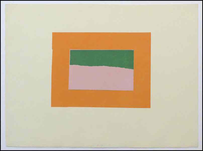 Appraisal: HOWARD HODGKIN BRITISH B INDIAN VIEW B Color screenprint signed