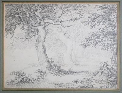 Appraisal: Joseph Barber - A woodland walk Signed Pencil x cm