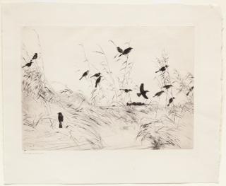 Appraisal: Frank W Benson - Blackbirds and Rushes signed Frank W