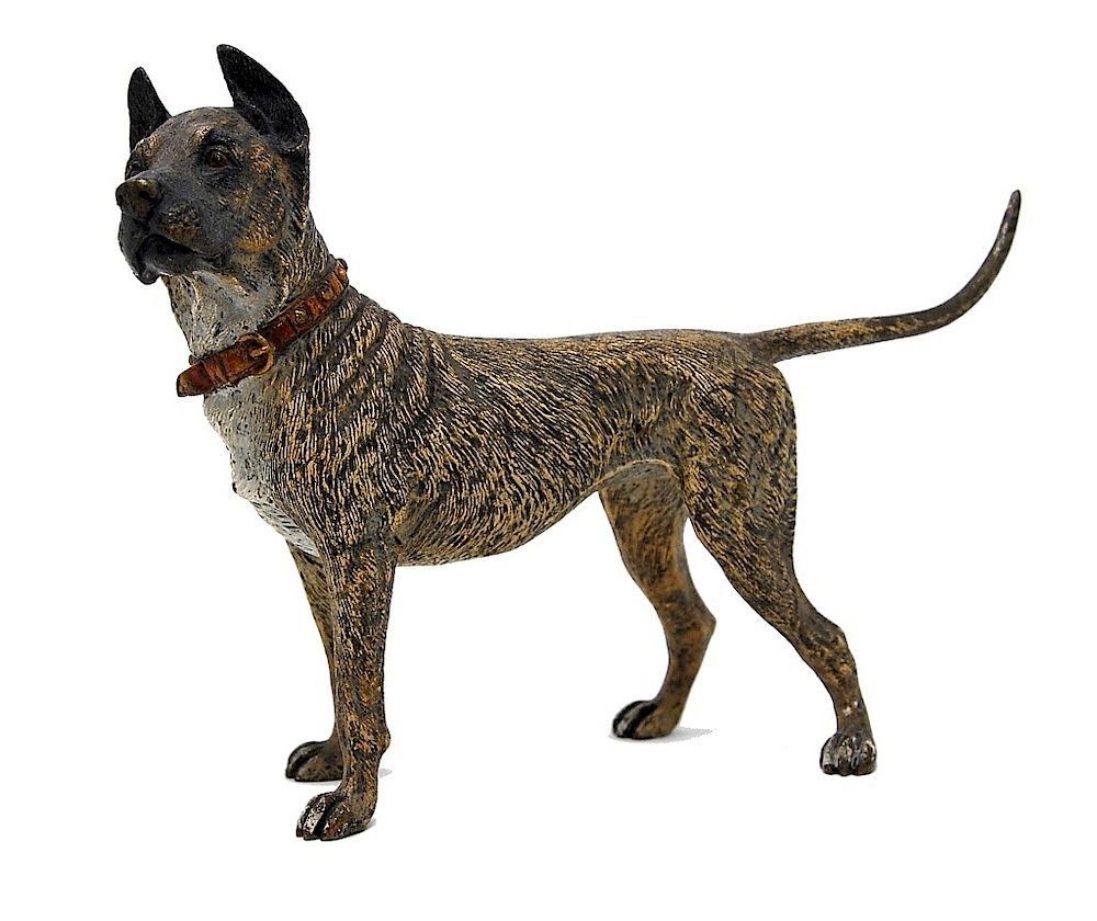 Appraisal: Great Dane Cold Painted Vienna Bronze Large Vienna Bronze Great