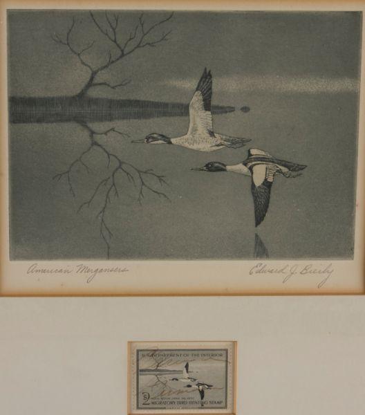 Appraisal: Federal Duck Stamp Print by Edward Bierly etching on paper