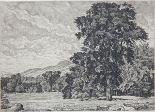 Appraisal: Luigi Lucioni etching Luigi Lucioni American - - ''Stony Pasture''