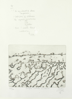 Appraisal: John Olsen born Cooper Creek in Flood etching signed and