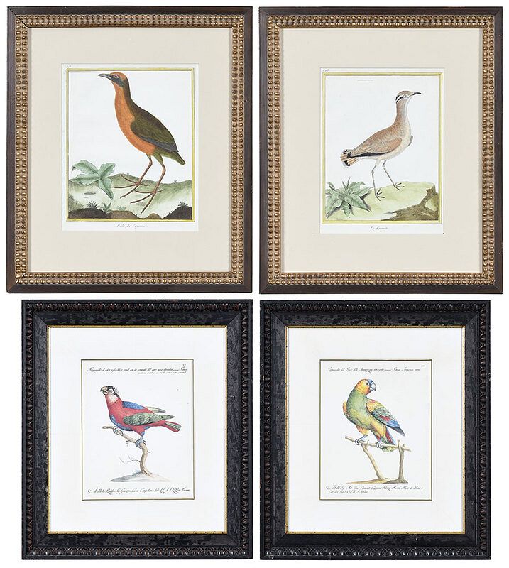 Appraisal: Four Continental Bird Prints th- st century Le Courvite pl