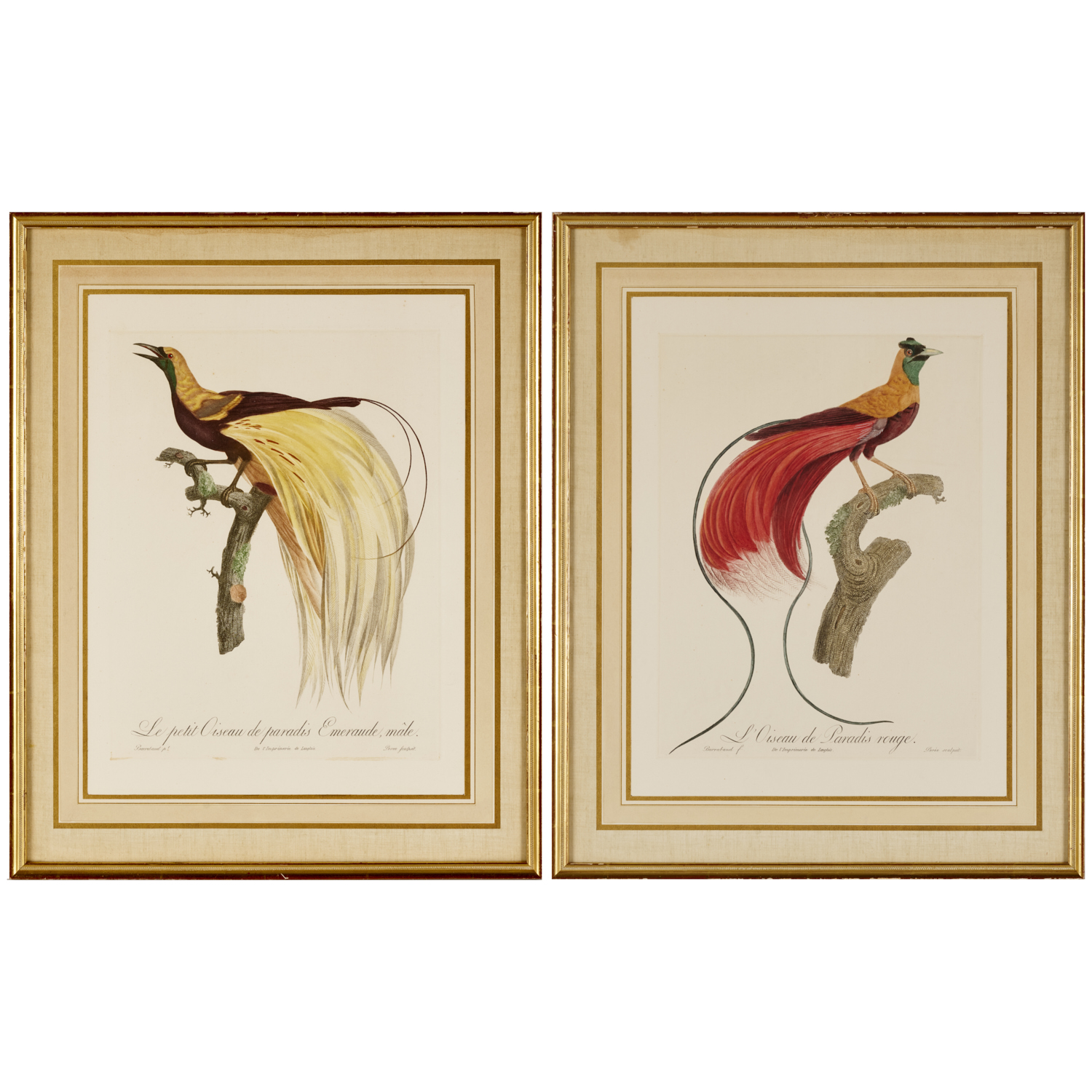 Appraisal: BARRABAND ORNITHOLOGICAL COLORED ETCHINGS After Jacques Barraband French - two