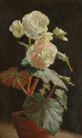 Appraisal: Alice Marian Ellen Bale - White Begonia oil on board