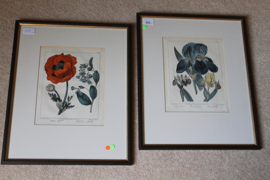 Appraisal: After Syd Edwards two hand coloured botanical engraved plates x