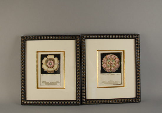 Appraisal: Eight Carlo Antonini Engravings of Architectural Rosettes hand-colored Italy c