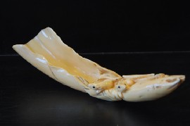 Appraisal: MARINE IVORY CARVED TEA SCOOP