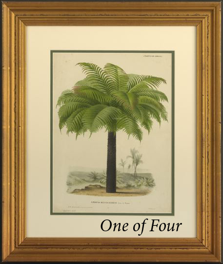 Appraisal: Continental School Third Quarter th Century Palm Trees suite of