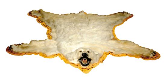 Appraisal: Polar bear skin rug full mounted head and paws laid