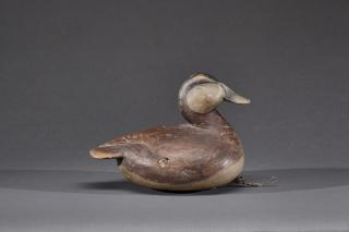 Appraisal: Ruddy Duck Mark S McNair b Ruddy DuckMark S McNair