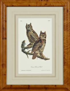 Appraisal: John James Audubon - Great Horned Owl No Plate th